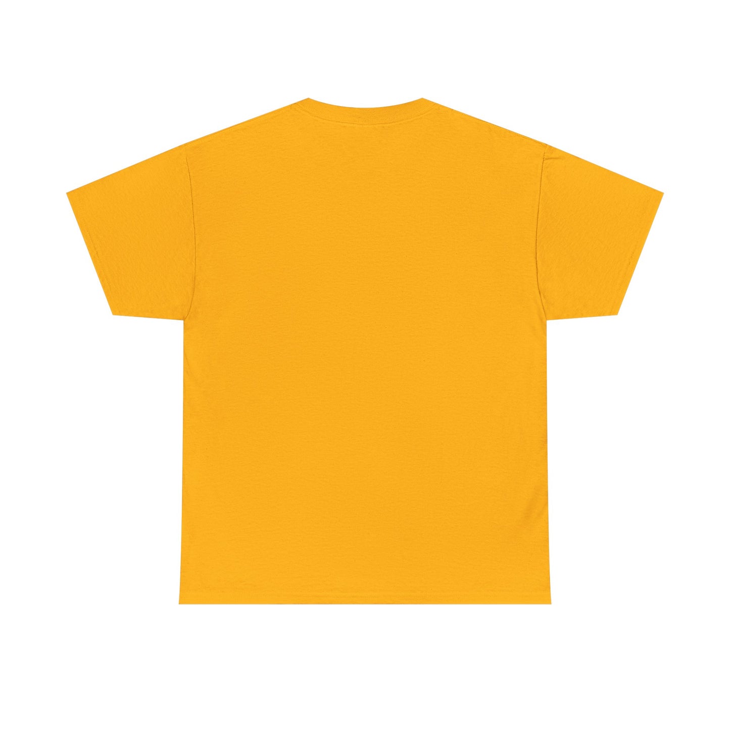 Vibrant Motivational Tee, Unisex Heavy Cotton Tee, Inspirational Shirt, Gift for Friends, Encouragement T-shirt, Positive Vibe Apparel