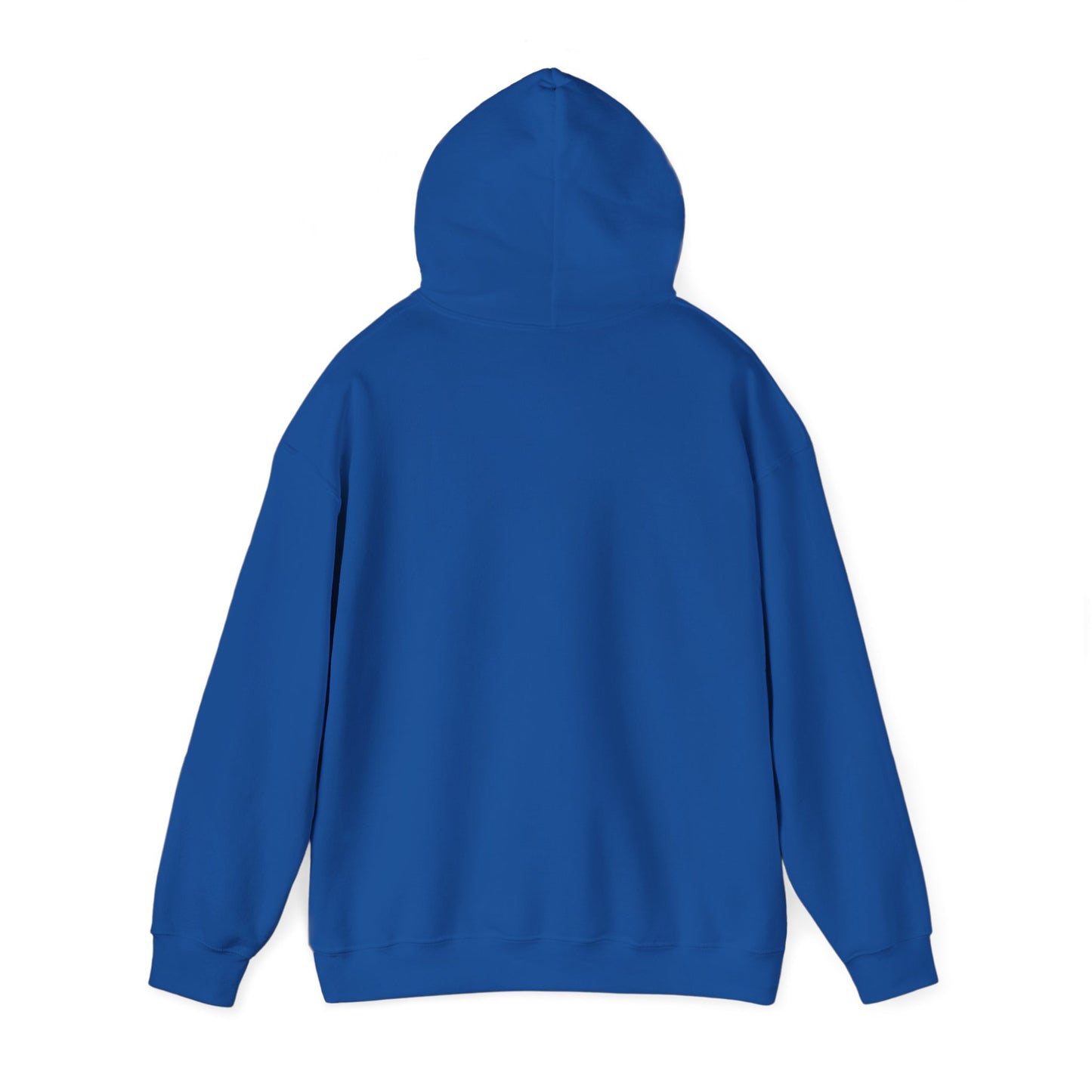Hoodie — "The Struggles of Today Are the Success of Tomorrow" Motivational Graphic Hoodie