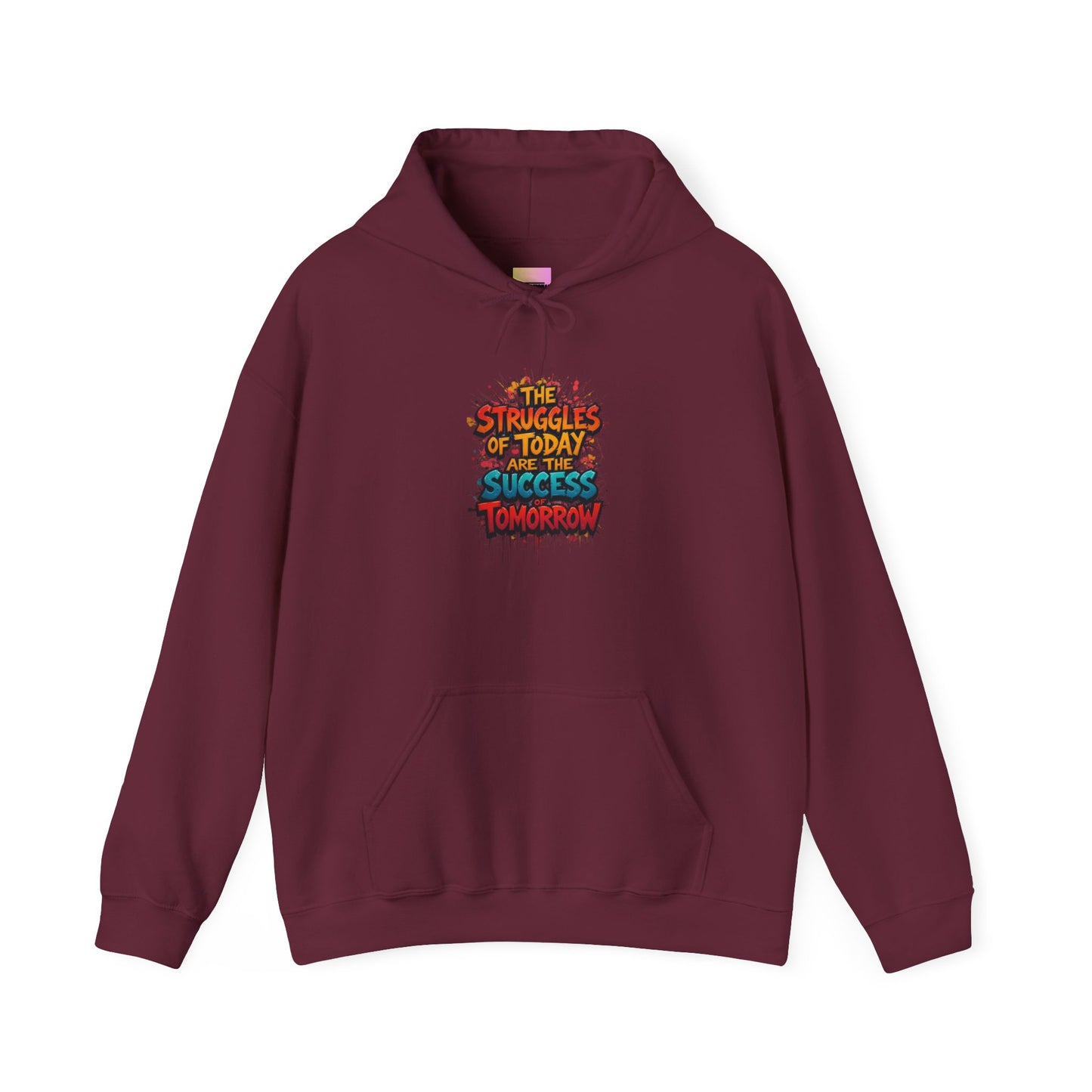 Hoodie — "The Struggles of Today Are the Success of Tomorrow" Motivational Graphic Hoodie