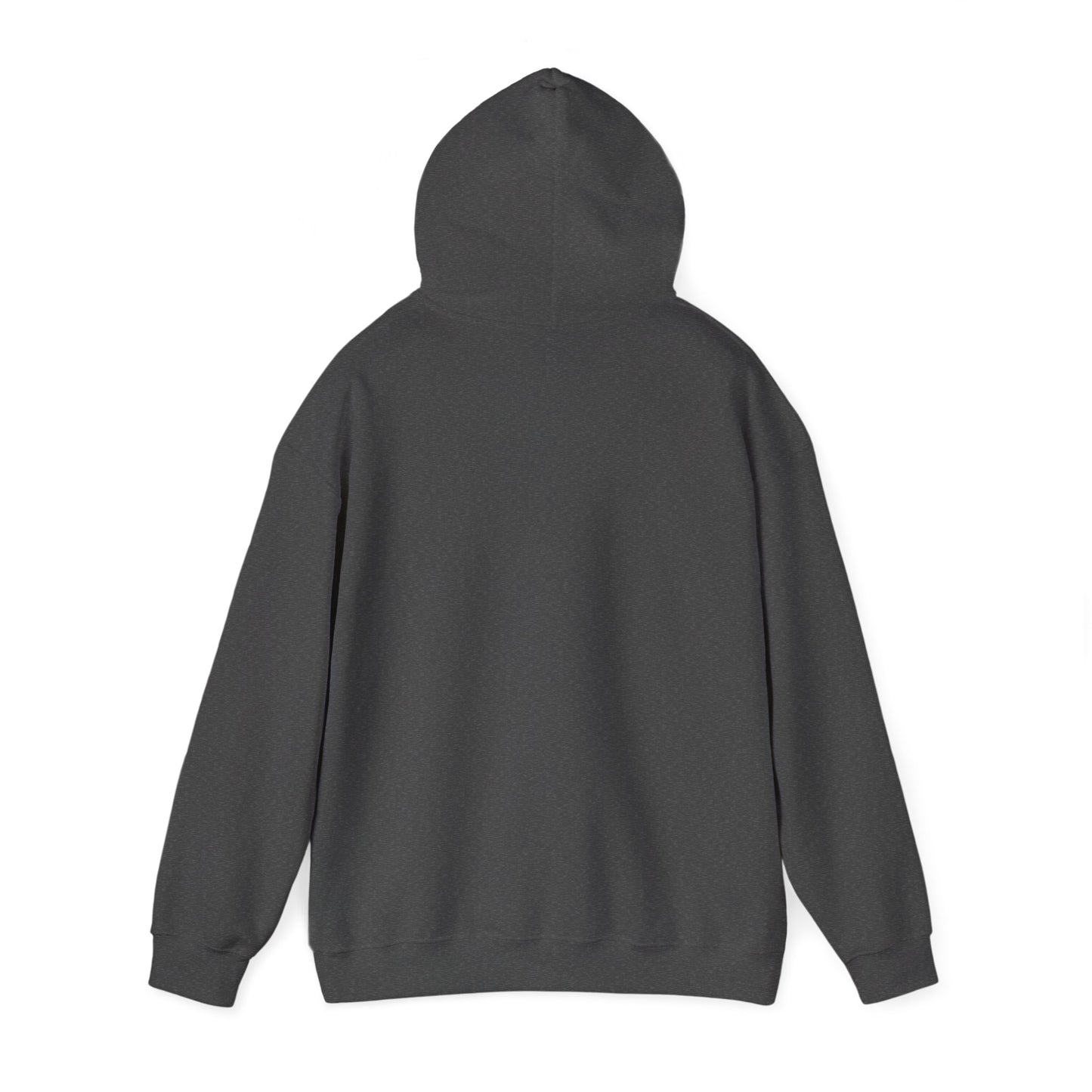 Motivational Unisex Hoodie, Cozy Sweatshirt for Inspiration, Perfect Gift for Friends, Casual Wear, Encouraging Hooded Sweatshirt