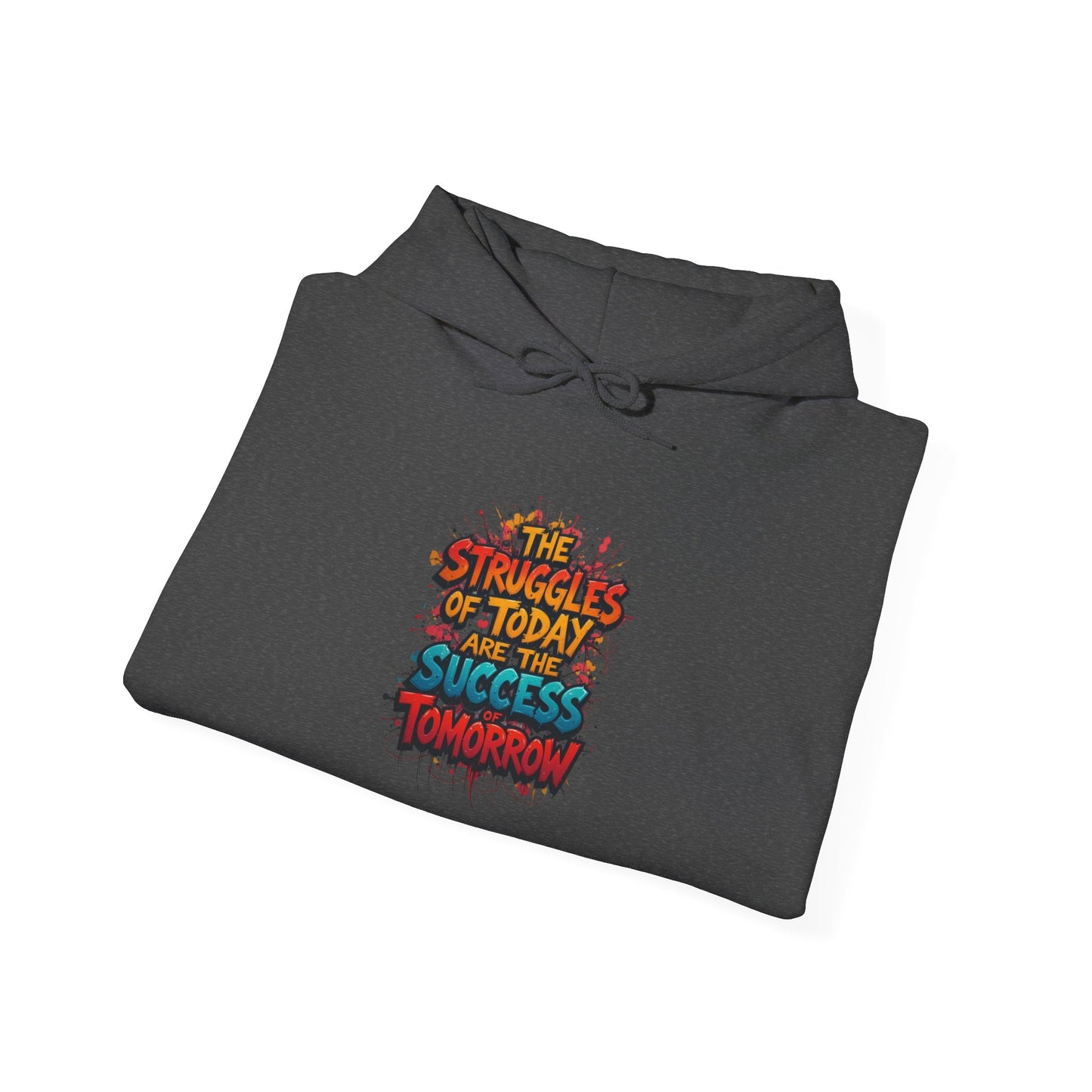 Hoodie — "The Struggles of Today Are the Success of Tomorrow" Motivational Graphic Hoodie