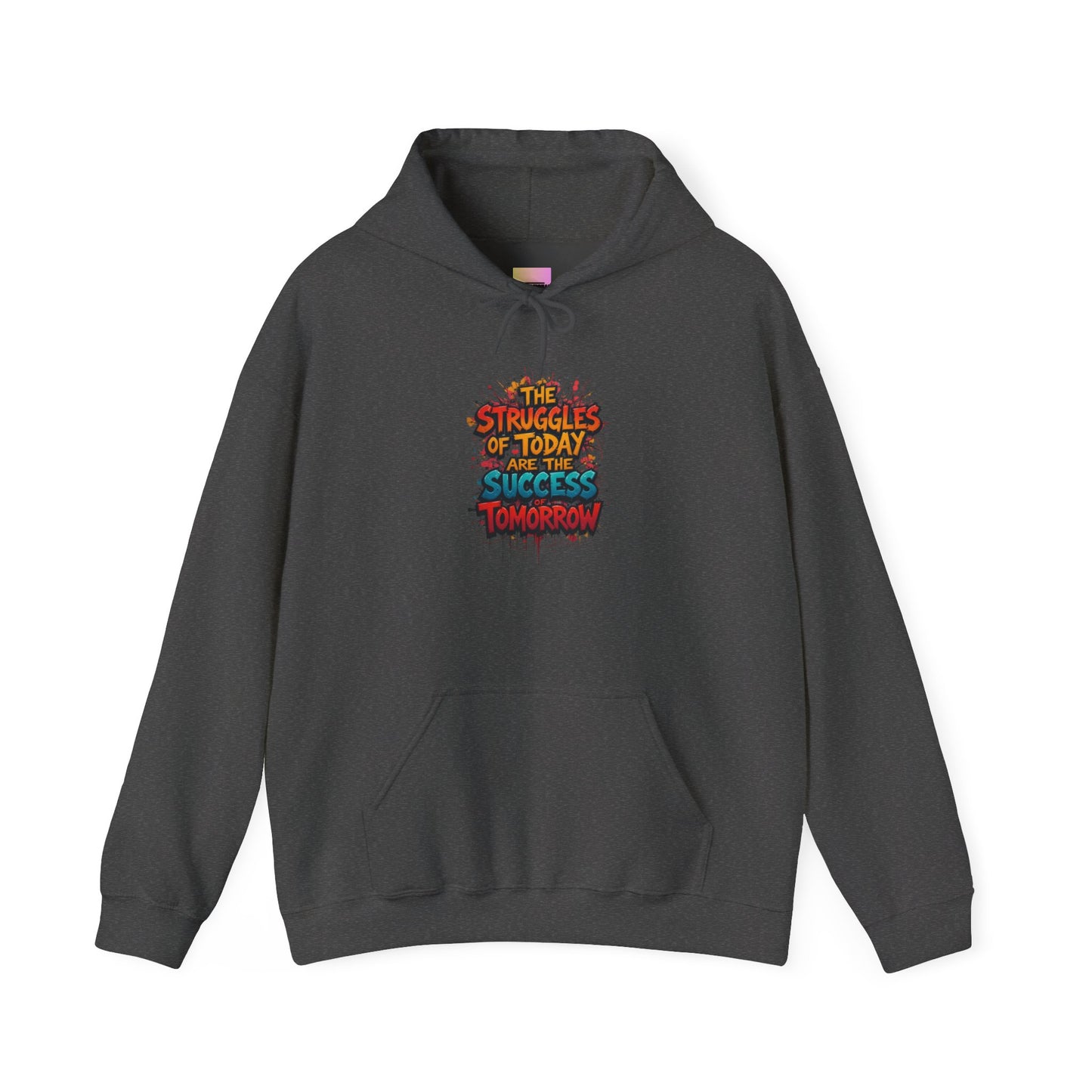 Hoodie — "The Struggles of Today Are the Success of Tomorrow" Motivational Graphic Hoodie