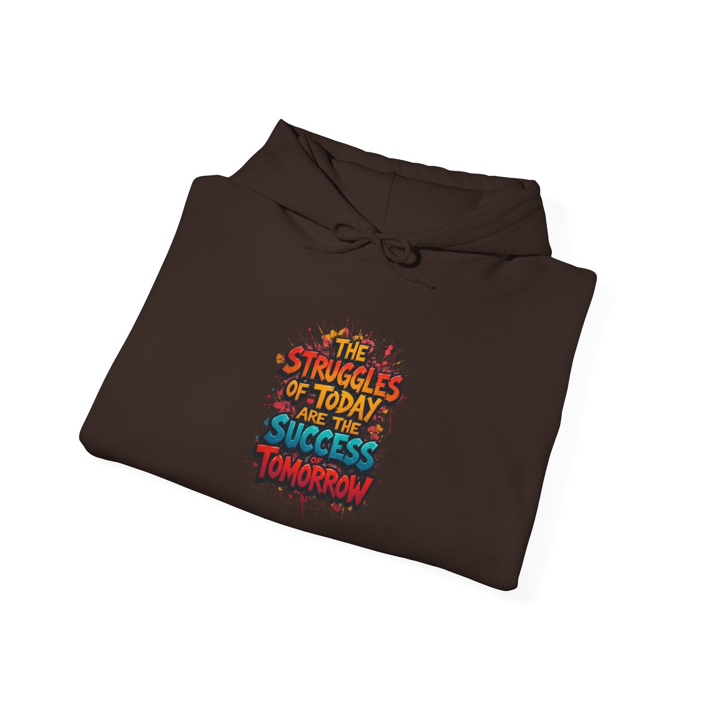 Hoodie — "The Struggles of Today Are the Success of Tomorrow" Motivational Graphic Hoodie
