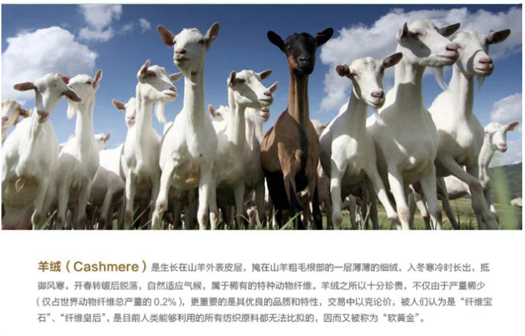 Women Autumn Winter Sweater Knitted Dresses Women Fashion Turtleneck Long Sweater Dress Ladies Warm Split Sweater Dress